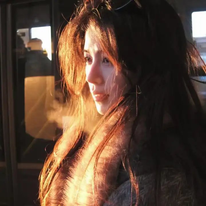 哥斯拉2：怪兽之王