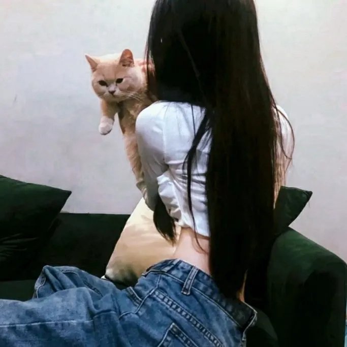 契约之吻