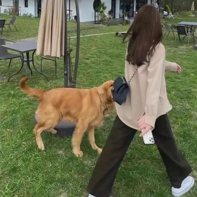 天行者
