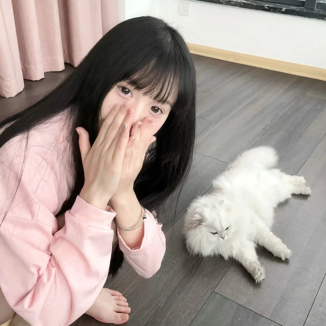 花仙子森林寻友记